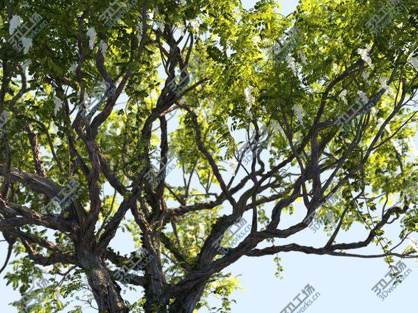 images/goods_img/20210312/3D Tree Animated HD model/4.jpg